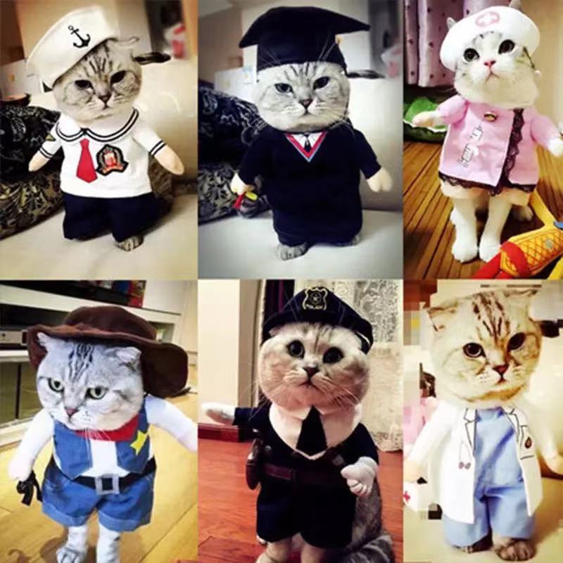 Pawmonts Dress Up Costume