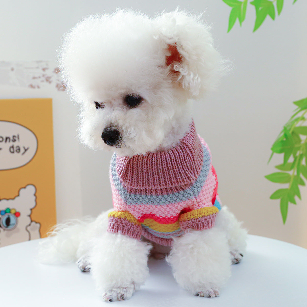 Rainbow Rover Pet Sweater