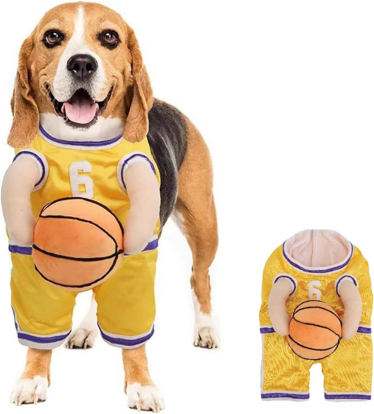 Hoop Hound Basketball Costume