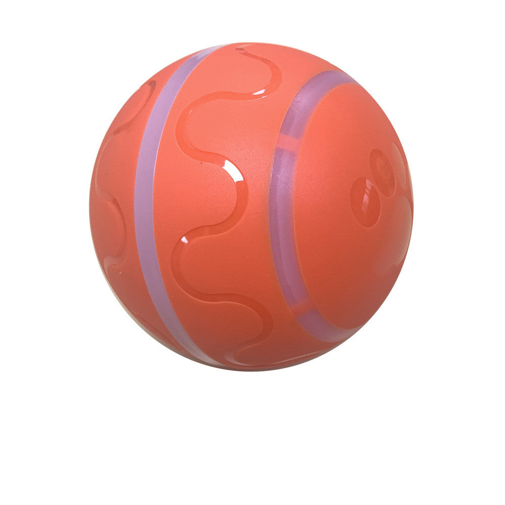 Pawmonts Whisker Orbit Ball