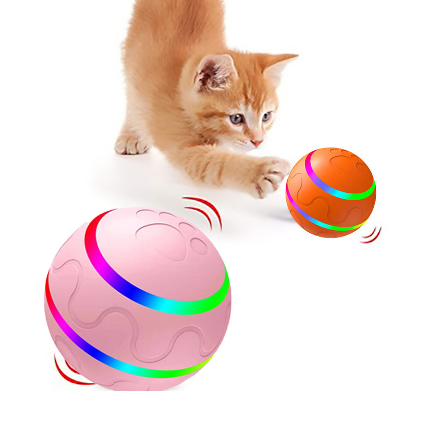 Pawmonts Whisker Orbit Ball