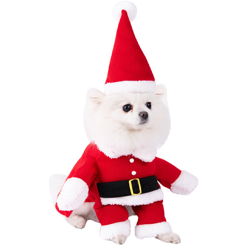 Pawmonts Santa Paws Costume