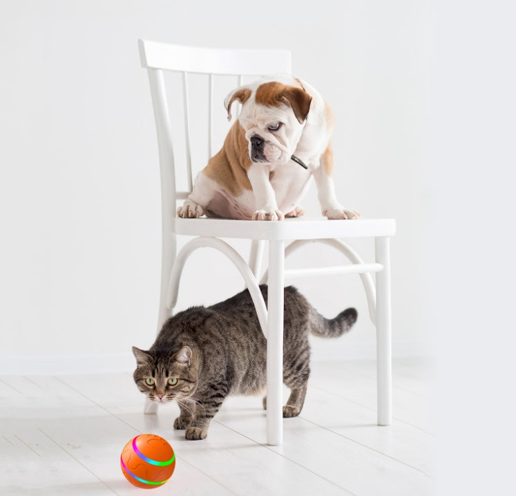 Pawmonts Whisker Orbit Ball