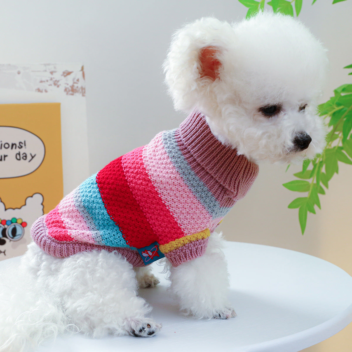 Rainbow Rover Pet Sweater