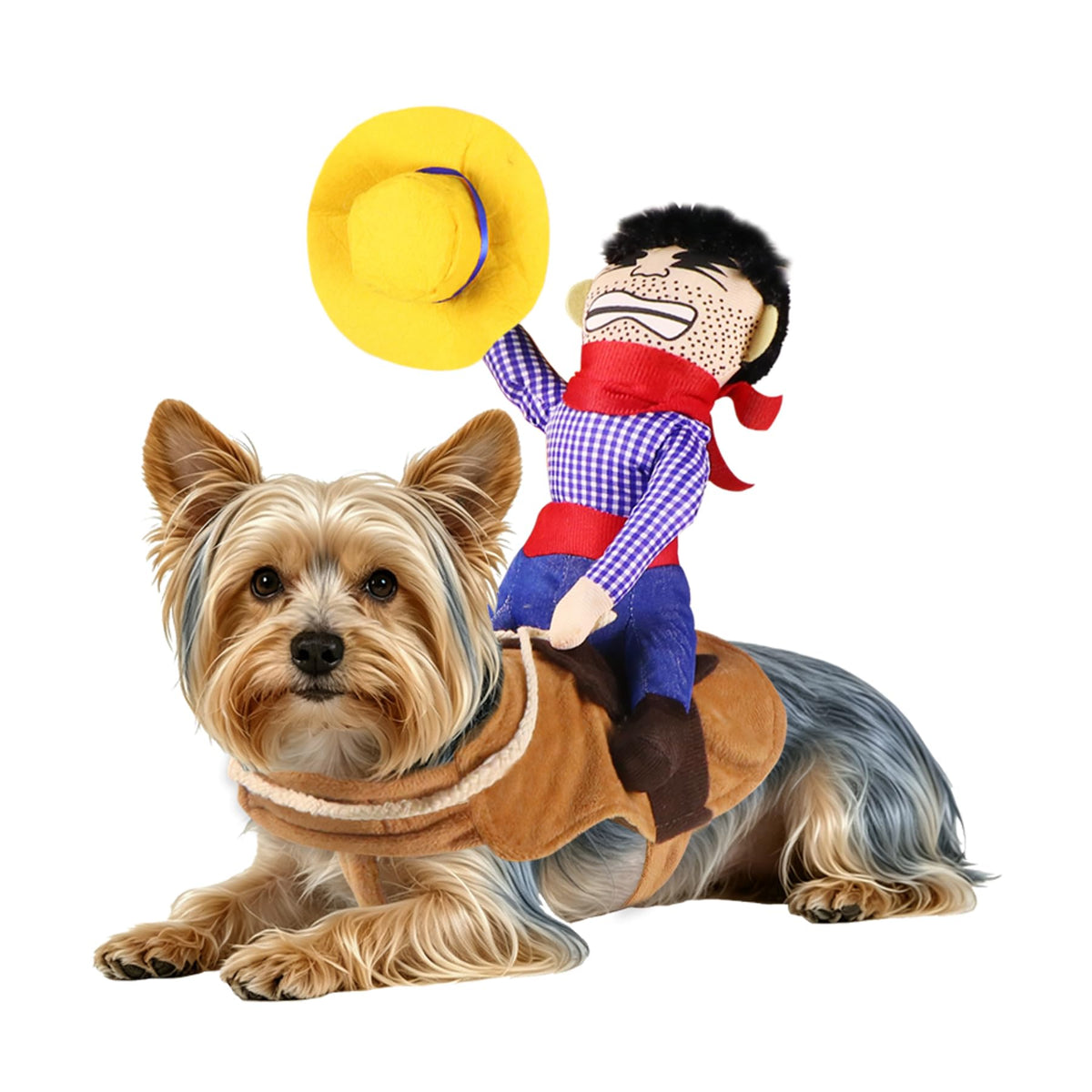 Pawmonts Rodeo Rider Costume