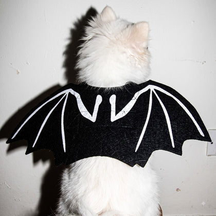 Halloween Special
