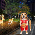 Hoop Hound Basketball Costume
