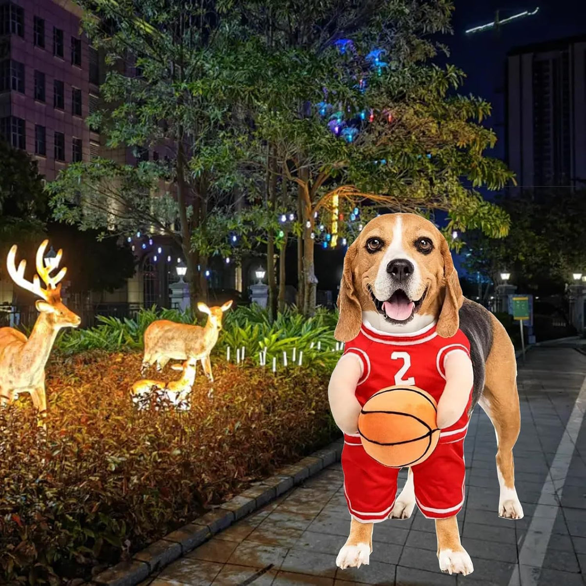 Hoop Hound Basketball Costume