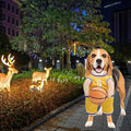 Hoop Hound Basketball Costume
