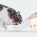 Pawmonts Trail Sip Bottle
