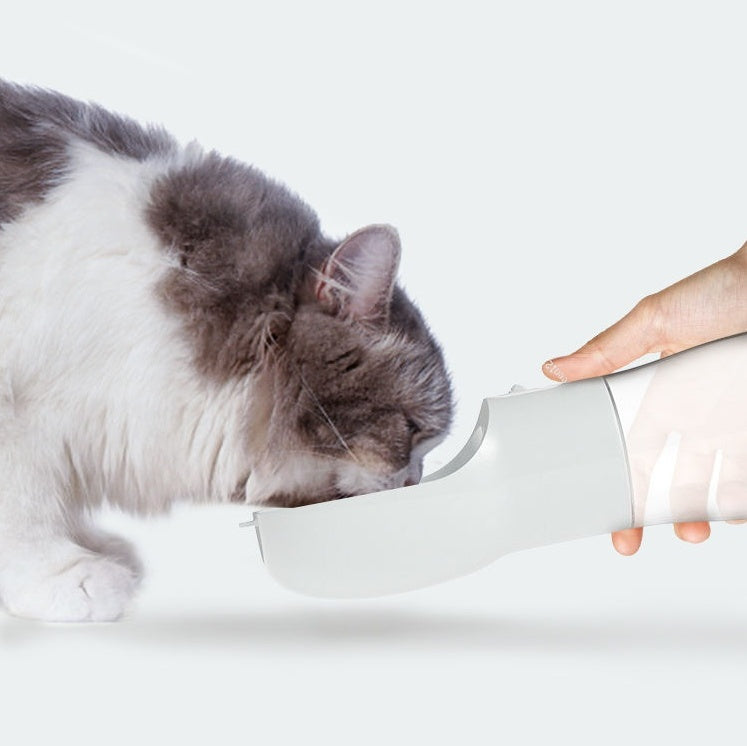 Pawmonts Trail Sip Bottle
