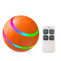 Pawmonts Whisker Orbit Ball