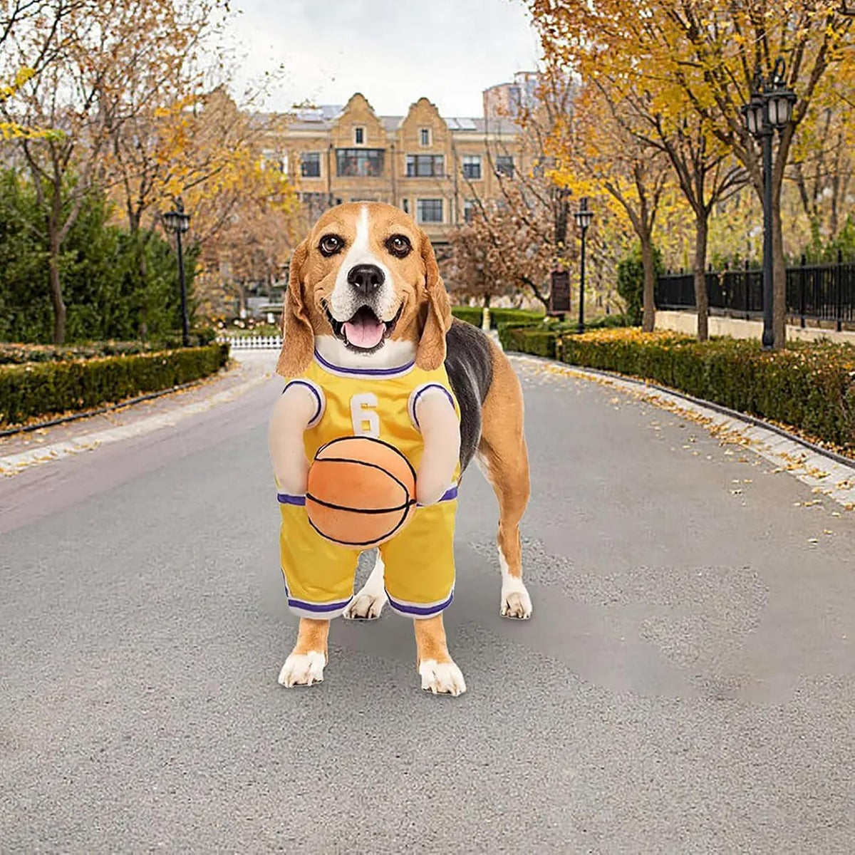 Hoop Hound Basketball Costume