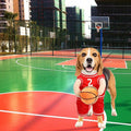 Hoop Hound Basketball Costume