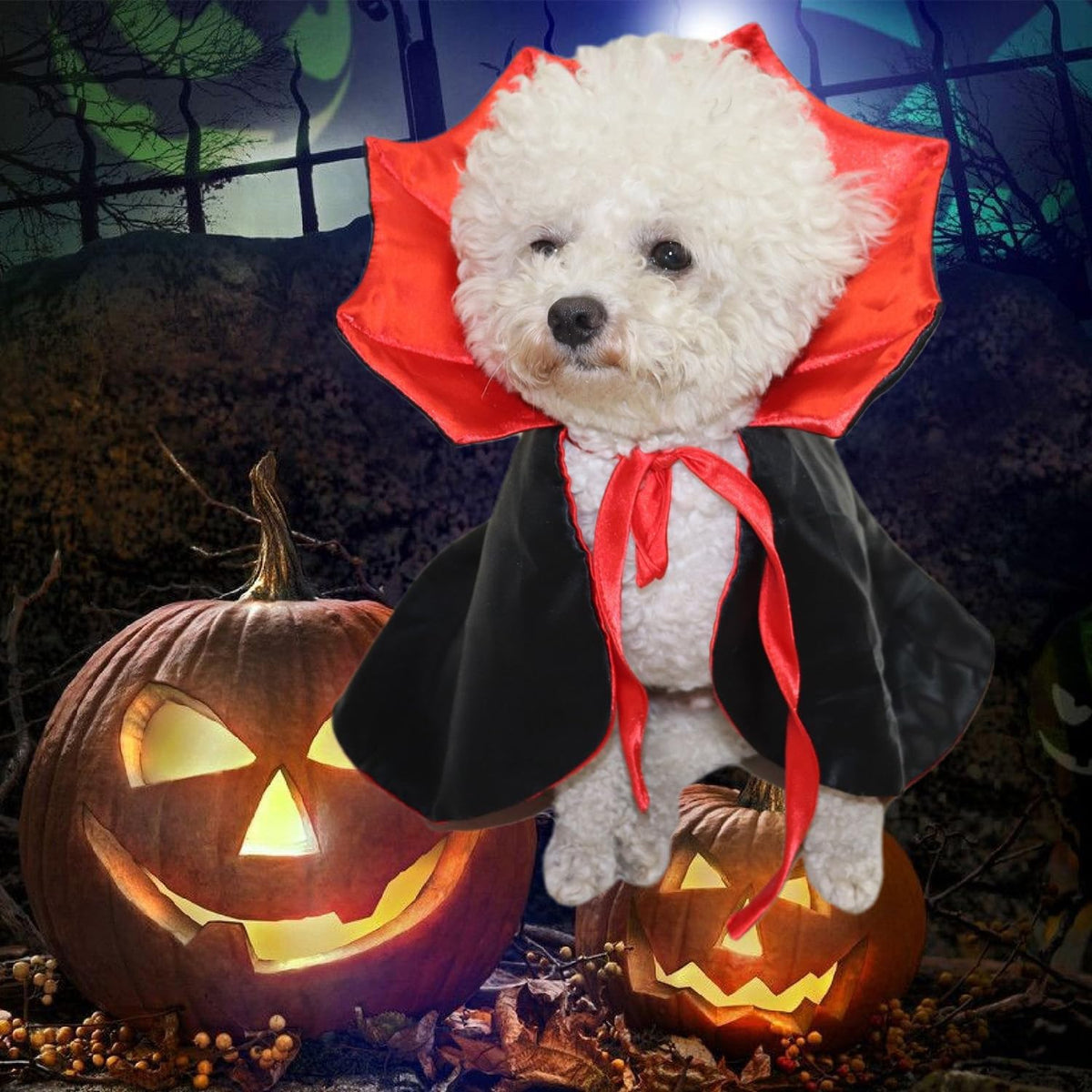 Nightfang Vampire Pet Cloak