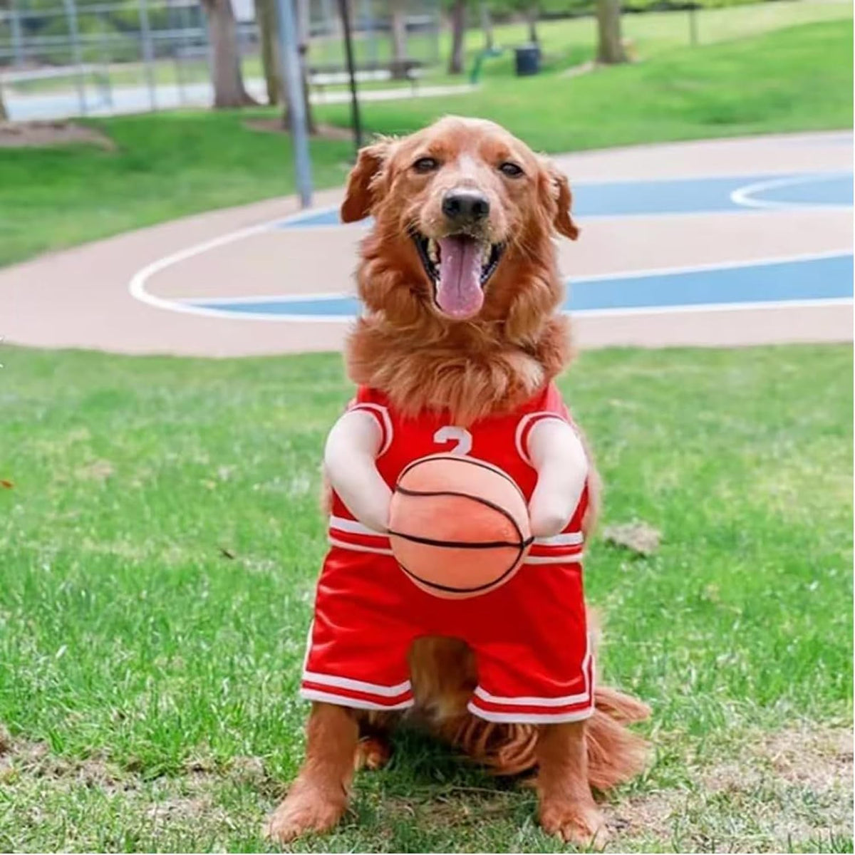 Hoop Hound Basketball Costume