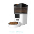 Watch Feed Camera Feeder