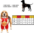 Hoop Hound Basketball Costume