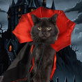 Nightfang Vampire Pet Cloak