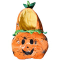 Pawmonts Pumpkin Patch Costume