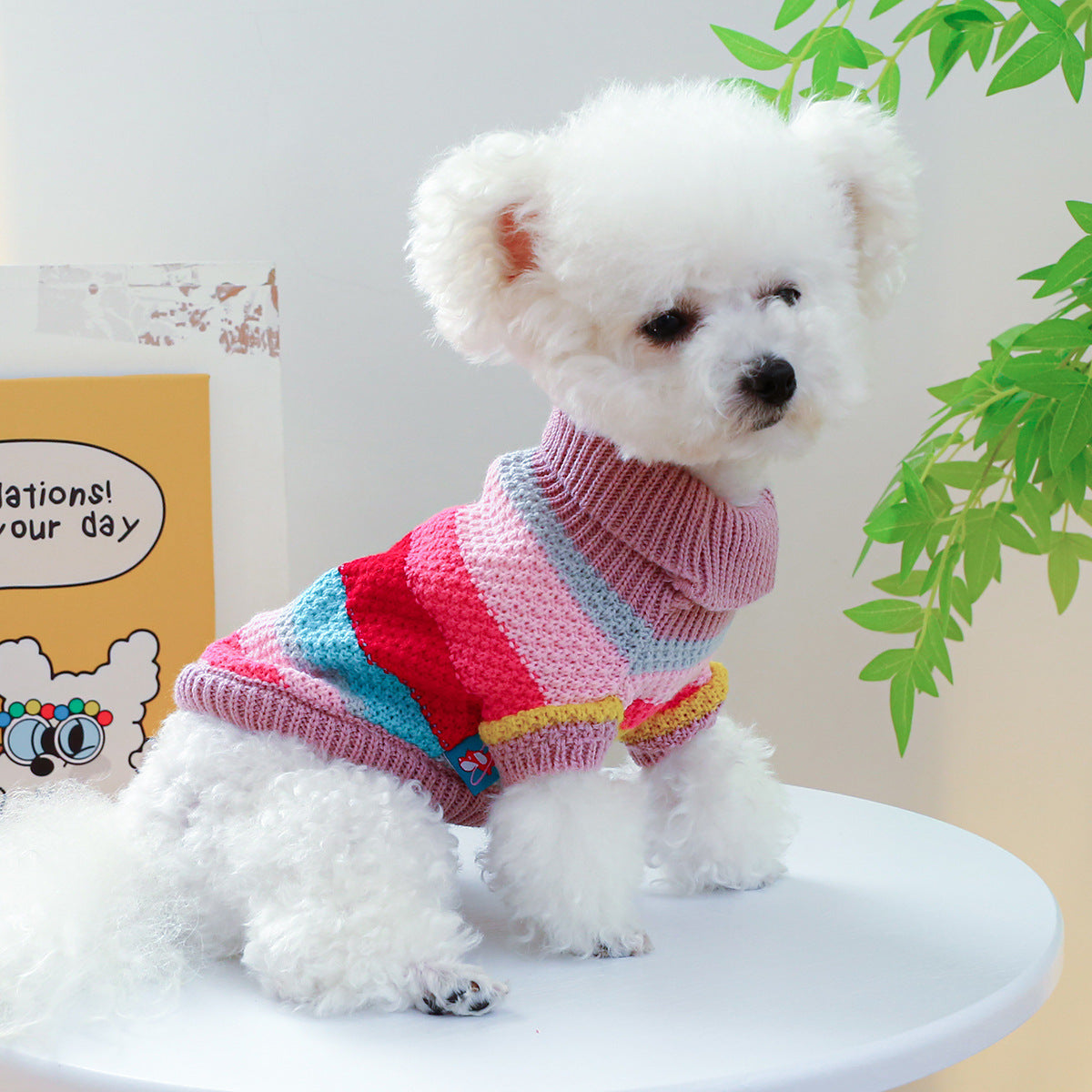 Rainbow Rover Pet Sweater