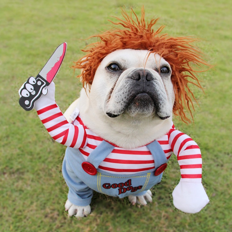 Spook Stride Dog Costume