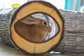 Pawmonts Hideaway Play Tunnel