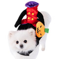 Pumpkin Rider Pet Costume