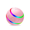 Pawmonts Whisker Orbit Ball
