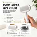 Pawmonts Fur Lift Brush
