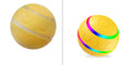 Pawmonts Whisker Orbit Ball