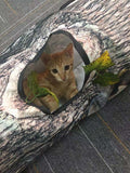 Pawmonts Hideaway Play Tunnel