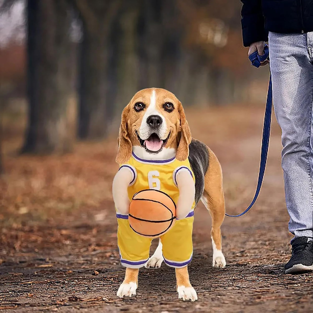 Hoop Hound Basketball Costume