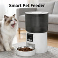 Pawmonts Smart Meal Feeder