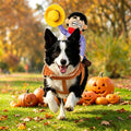 Pawmonts Rodeo Rider Costume