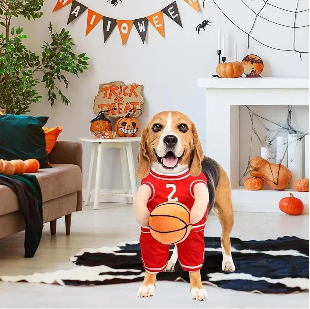Hoop Hound Basketball Costume