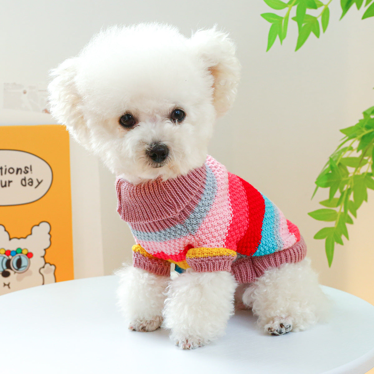 Rainbow Rover Pet Sweater