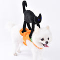 Black Cat Rider Costume